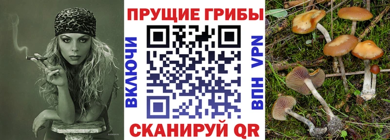 МЕГА ССЫЛКА Спас-Клепики Псилоцибиновые грибы мицелий закладка